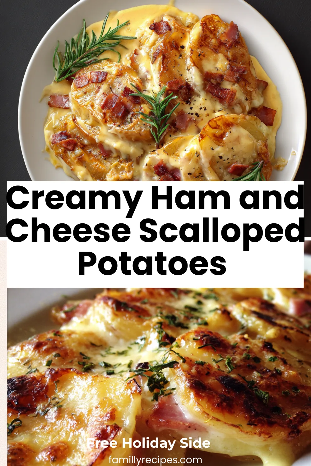 Creamy scalloped potatoes layered with ham and cheese, golden casserole—holiday and comfort food
